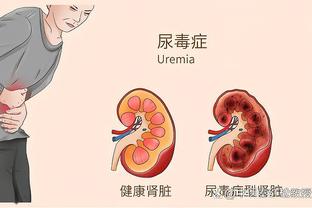 半岛电子官方网站首页入口下载截图4